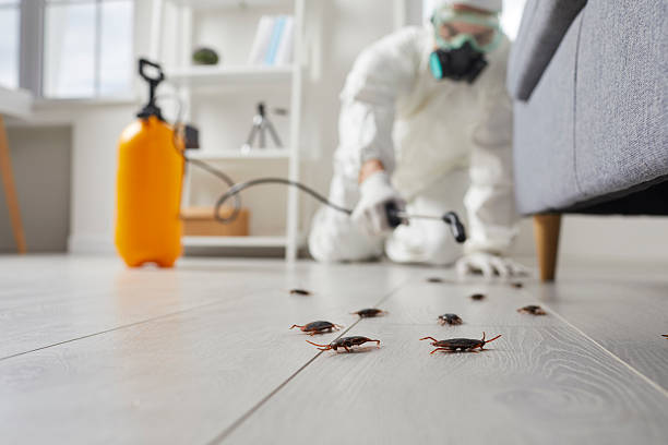 Post-Treatment Bed Bug Interceptor Monitoring in Yulee