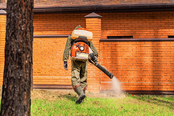 Bed Bug Clearance Verification and Documentation in Yulee